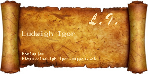 Ludwigh Igor névjegykártya
